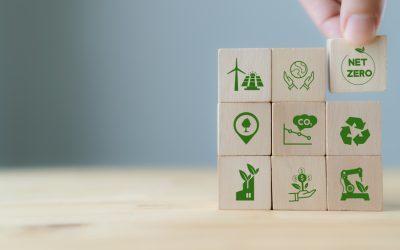 El British Asian Trust lanza el Fondo de Innovación Climática